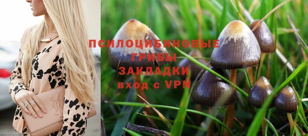 ALPHA-PVP Аркадак